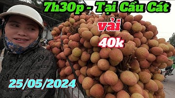 Cập Nhật Giá Vải Cầu Cát Lục Ngạn, Những Thương Lái Tranh Mua Vải Đẹp