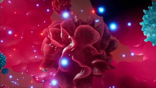 Otezla Apremilast Mechanism Of Action In The Treatment Of Psoriatic Arthritis