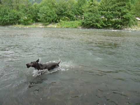 CLUB-MONADIRE.GE - კურცჰაარი ლედი