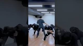 Bts All Members Prectice Stant Video