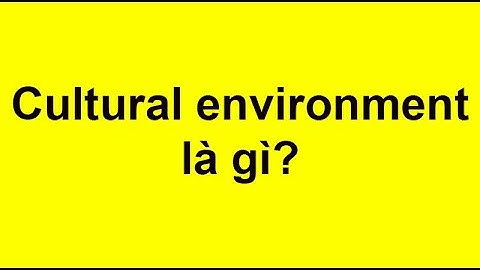 Môi trường văn hóa xã hội là gì năm 2024