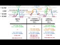 Electrocardiogram - Cellular Electrophysiology