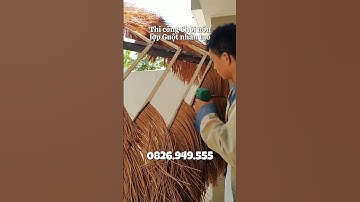 Thi công Chòi nón lợp tấm GUỘT NHÂN TẠO cực nhanh #shortsfeed #chòi_đẹp #thicongtrongoi