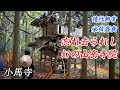 【廃寺】かつて700~800人の修行僧がいた幻の山岳寺院「小馬寺」