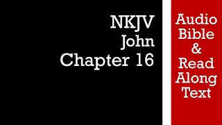 John 16 - NKJV (Audio Bible & Text) screenshot 4