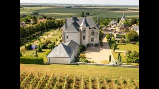 Magnificent manor with extensive park and vineyard