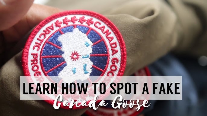 Canada Goose jackets: the status symbol, explained - Vox