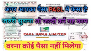 PACL रिफंड नहीं मिलेगा जरूरी सूचना। PACL Refund Update! PACL धनवापसी की स्थिति।Pacl Refund News