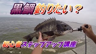 【初心者向け】ヘチ釣り黒鯛が釣れない人の為の動画