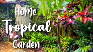 Beautifull tropical garden home | garden frontyard landscape design idea 🌿✨