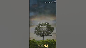بعض الآيات من سورة القيامة بصوت الشيخ ياسر الدوسري 🥰_ بسم الله الرحمن الرحيم ❤❤