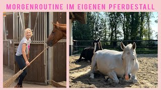 Meine MORGEN ROUTINE mit eigenem Pferde Stall I So wache ich auf I 10 Tiere versorgen I