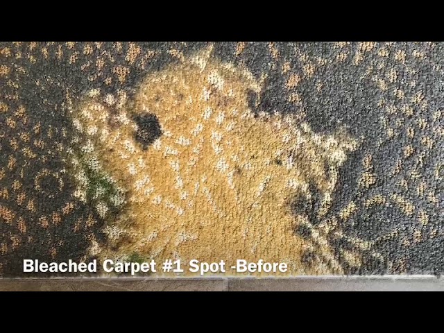 Hi-Tech Carpet Dye 