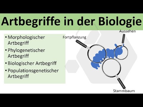 Video: Was ist die Definition von Phylogenie in der Biologie?