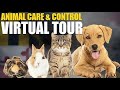 Animal Care & Control Virtual Tour | August 5th, 2022