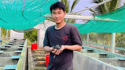 Hướng Dẫn Phân Biệt Rắn Rivoi Và Rắn RiCa