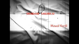 Kürtçe Uzun Hava Org 2022 Mobile