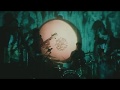 Miniature de la vidéo de la chanson Blackbird