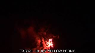 Fajerwerki TXB820 Yellow Peony 9s 0 8  Triplex
