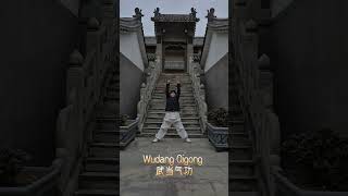 Wudang 5 Element Qigong | The Dragon Pose for Kidney Health & Water Element Flow