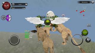 Wild Animals Online My Lion Lvl 30