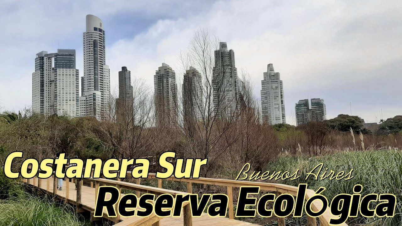 Pasarelas en la Reserva Ecológica de la Costanera Sur - Buenos Aires ...