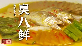 《味道》来乌镇一日游 品江南味道 感觉水乡风情 羊肉暖锅 烟熏牛肋排 臭八鲜 20240425 | 美食中国 Tasty China