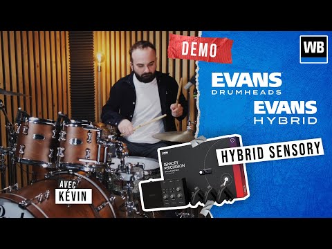 EVANS HYBRID SENSORY - Une VRAIE révolution pour vos batteries ?