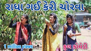 રાધા ગઈ કેરી ચોરવા  | comedian Vipul | gujarati comedy