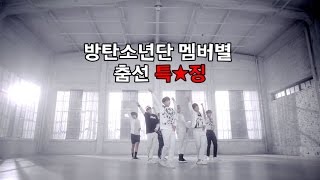 [방탄소년단] 방탄소년단 멤버별 춤선 특징(더보기란 확인!)