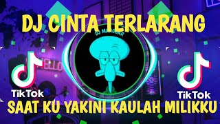 DJ CINTA TERLARANG | SAAT KU YAKINI KAULAH MILIKKU (TUHAN BERIKAN AKU HIDUP SATU KALI LAGI)