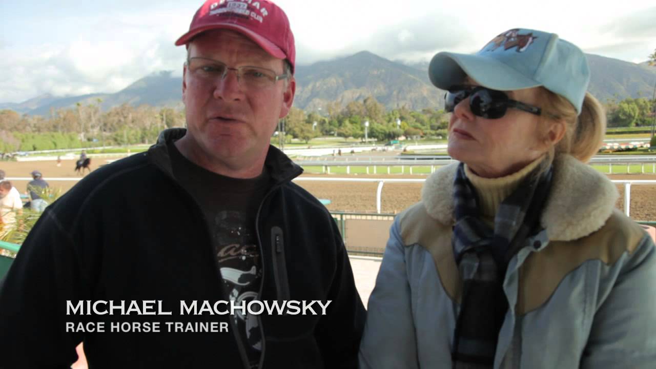 Race Horses Are Well Taken Care Of...