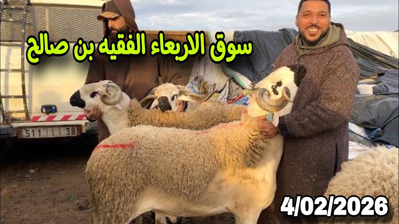 مباشرة من سوق الاربعاء الفقيه بن صالح 4/2/2026 مع التمن الحولي و النعجة و حولية 🐑🐑🇲🇦