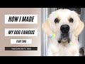 How I Made My Dog TikTok Famous | Part 2