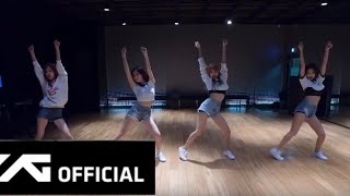 BLACKPINK - 'Really' DANCE PRACTICE VIDEO (Mov.Ver)