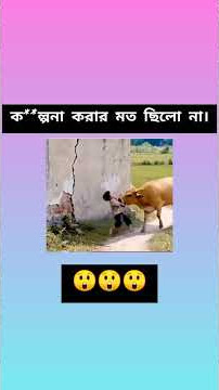 #viralvideo #funny #lifeisbutadream #unfrezzmyaccount #duet #haveitoldyoulatelythatiloveyou