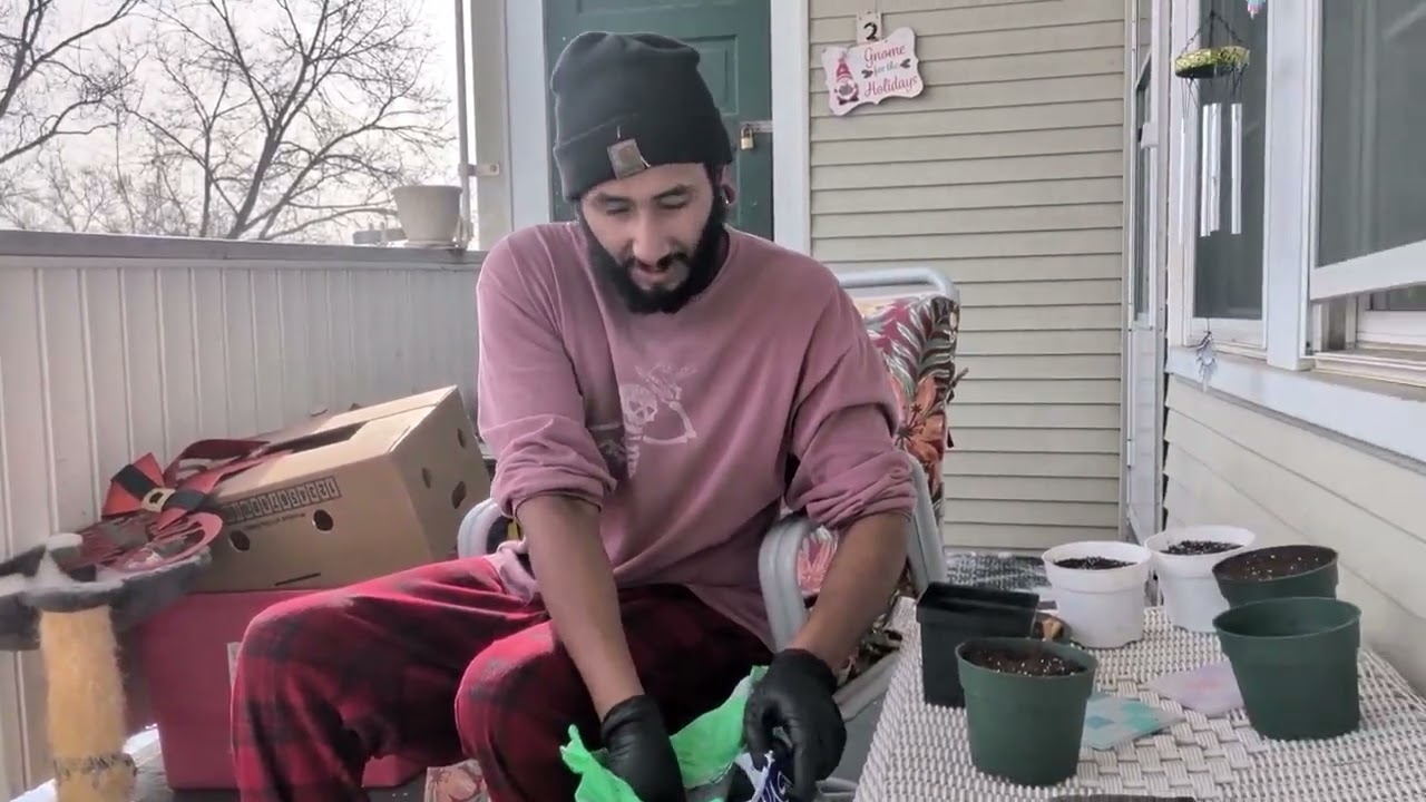 Getting medium ready Apollo grow off and side-by-side trial with Athena versus Advanced nutrients