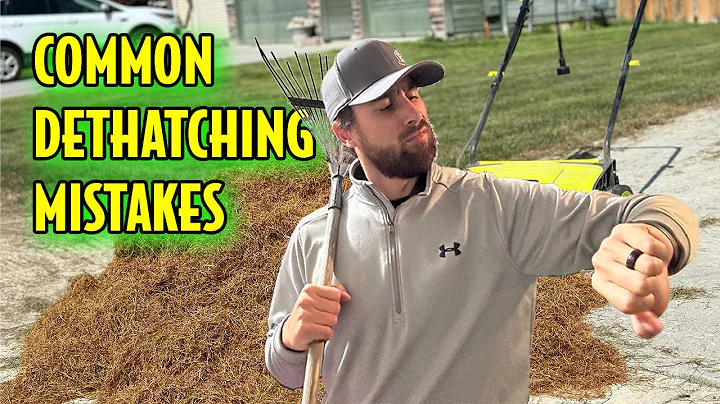 DO NOT Make These Dethatching Mistakes With Your Lawn!