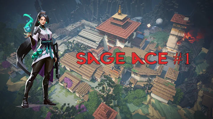 Sage | Ace #1 #eldenpizza #valorantclips