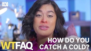 Does being cold make you sick? | WTFAQ | ABC TV + iview