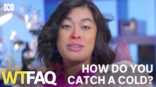 Does being cold make you sick? | WTFAQ | ABC TV + iview