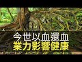 今世以血還血,祖先業力影響想法健康!(魅影空間 D100) bji 2.1