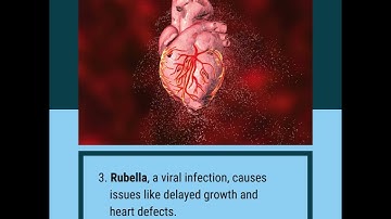 Importance of TORCH  Screen Test During Pregnancy