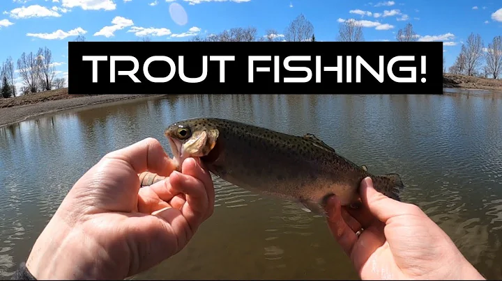 Trout Fishing!