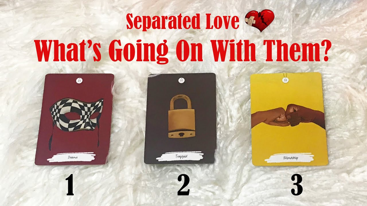 Separated 💔 Now What? What Are They Feeling? // timeless pick a card relationship reading //