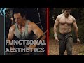 Functional aesthetics bodybuilding  functional training