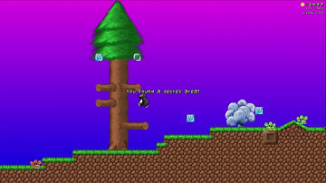 SuperTux 0.5.1 The Best World in the World secret 3 reverse