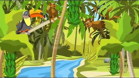 What are the major types of ecosystems? - YDP services