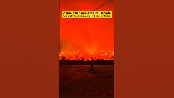 Rare fire tornado spotted during a wildfire in Aguiar da Beira, Portugal 🇵🇹. #portugal #firetornado