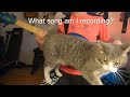 What song am I recording?